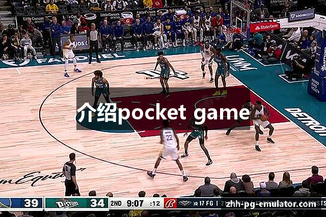 介绍pocket game